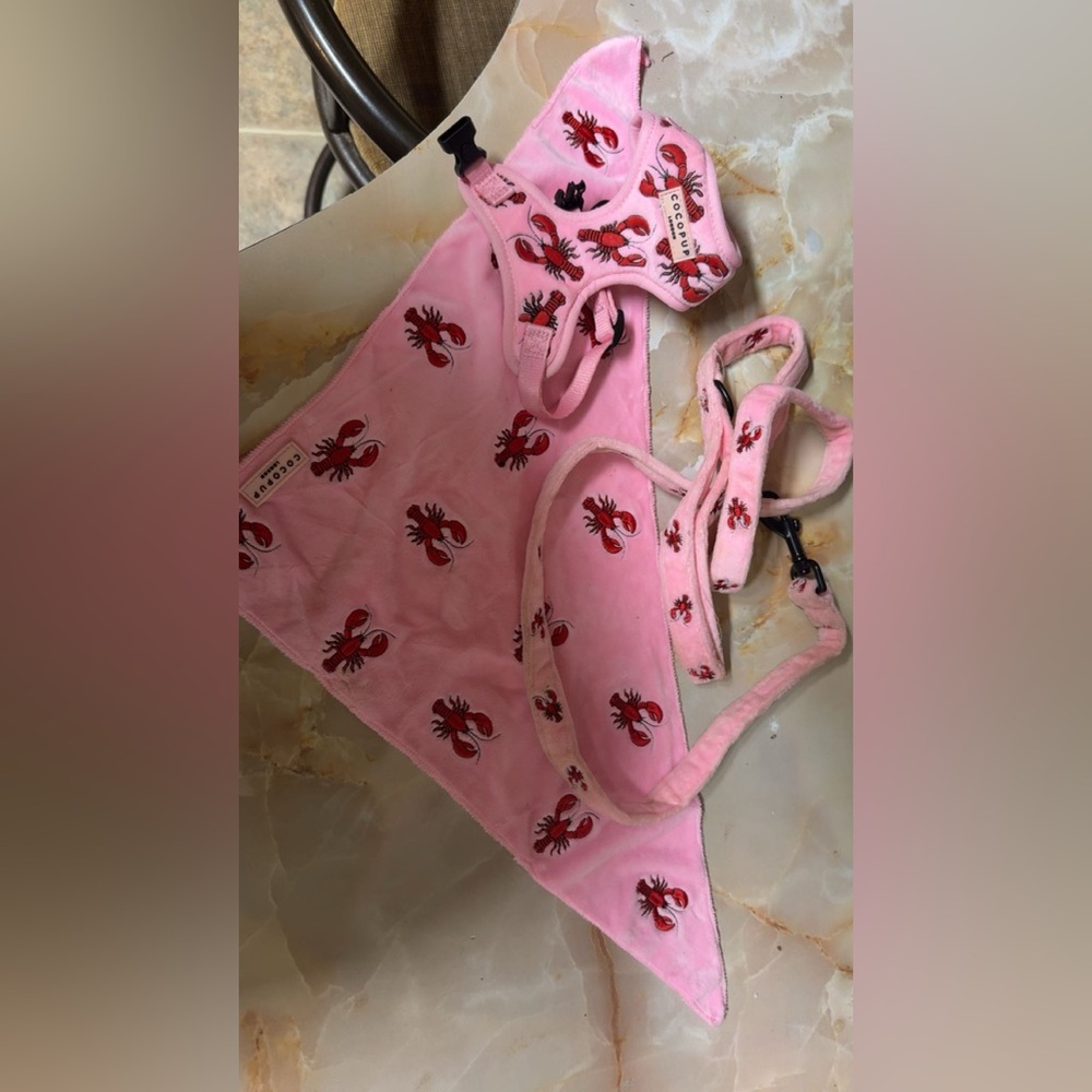 Pink Crawfish Dog Harness Set CocoPup 
Harness, leash, bandana XS